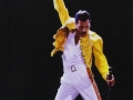 Freddie Mercury - Selim Rauer