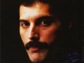 Freddie Mercury: : an intimate memoir by the man who knew him best